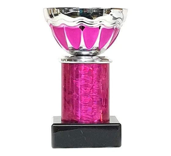 Pokal Enstyck Liten / Silver-Rosa