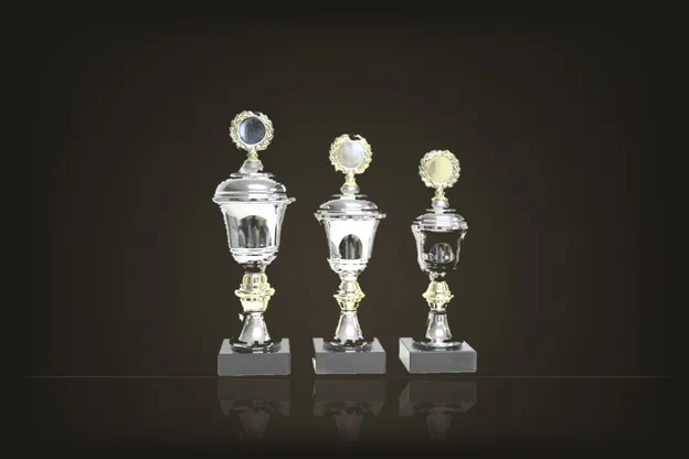 Ur kategorin Pokal Serie Liten