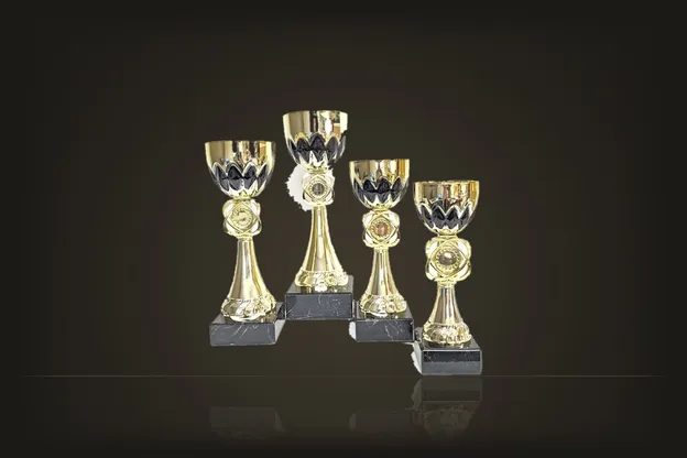 Ur kategorin Pokal Serie Stor